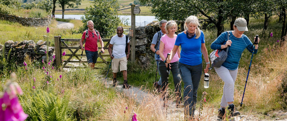 일상 속 정신 건강 관리로서 산책 습관