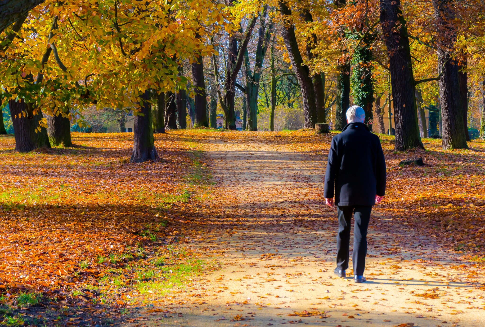 야외 산책이 기분과 감정에 미치는 영향